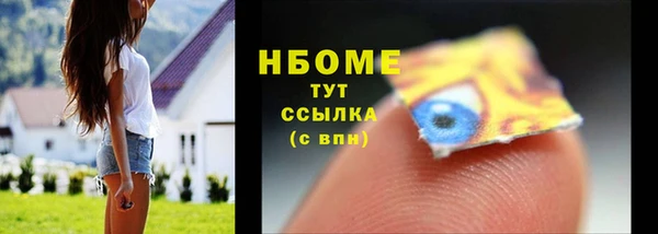 шишки Алзамай