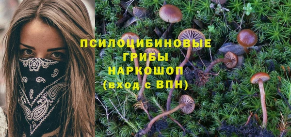 шишки Алзамай