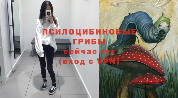 ALPHA-PVP Алексеевка