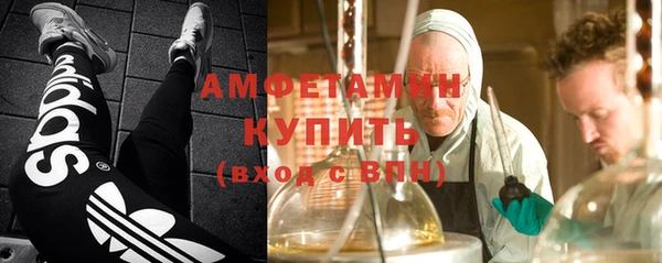 шишки Алзамай